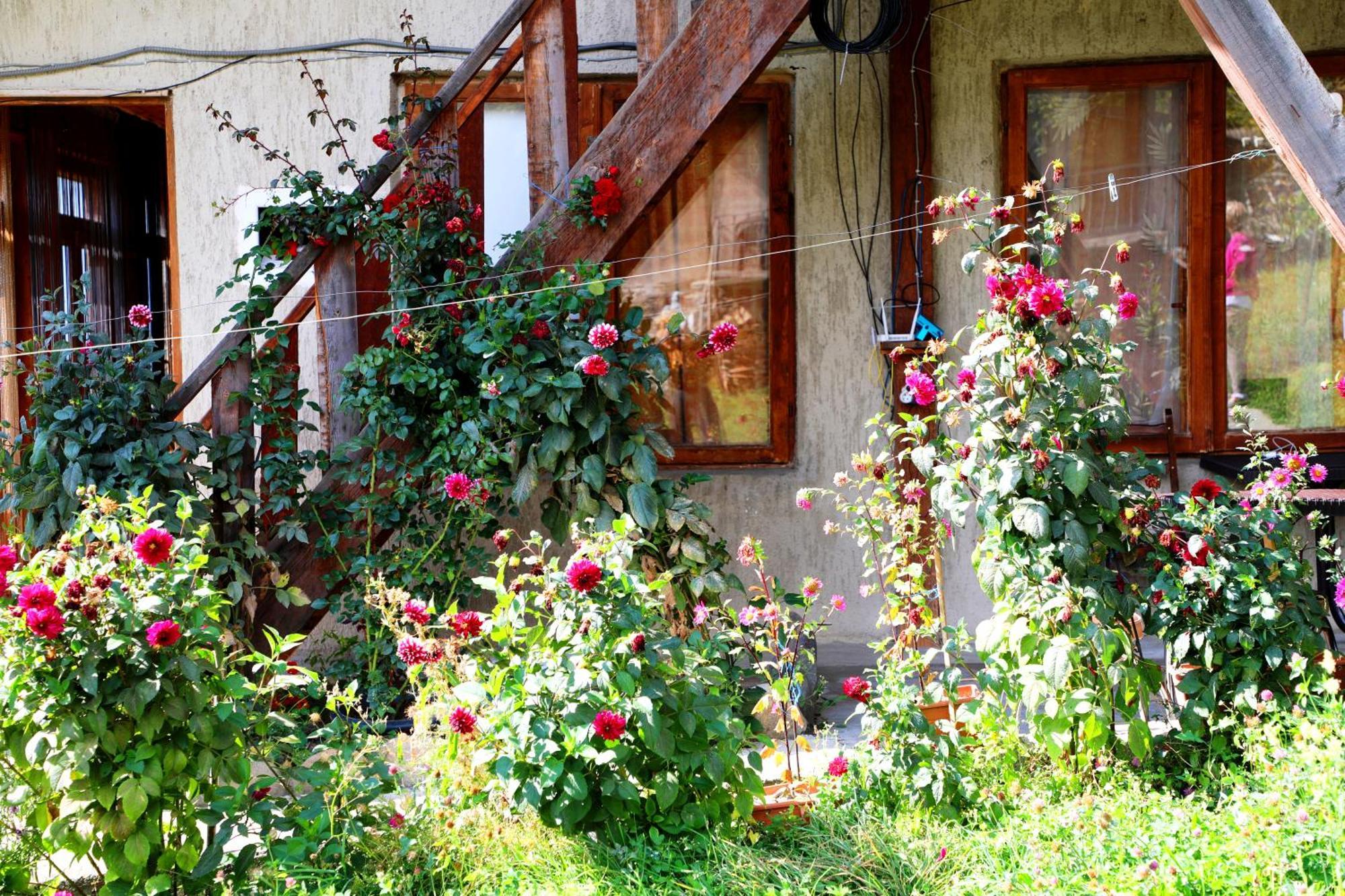 Nadia Guesthouse Mestia Exteriör bild